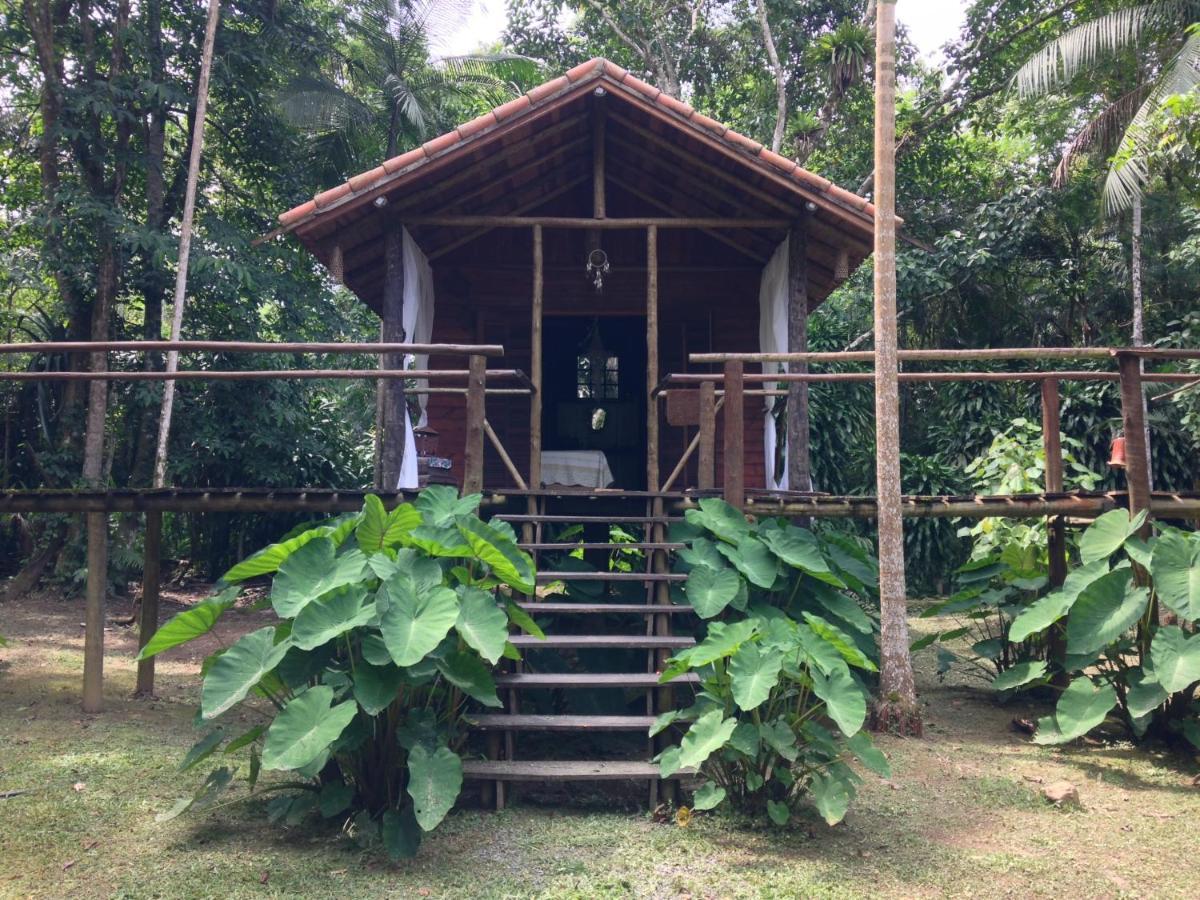 ホテル Glamping Mangarito イポランガ エクステリア 写真