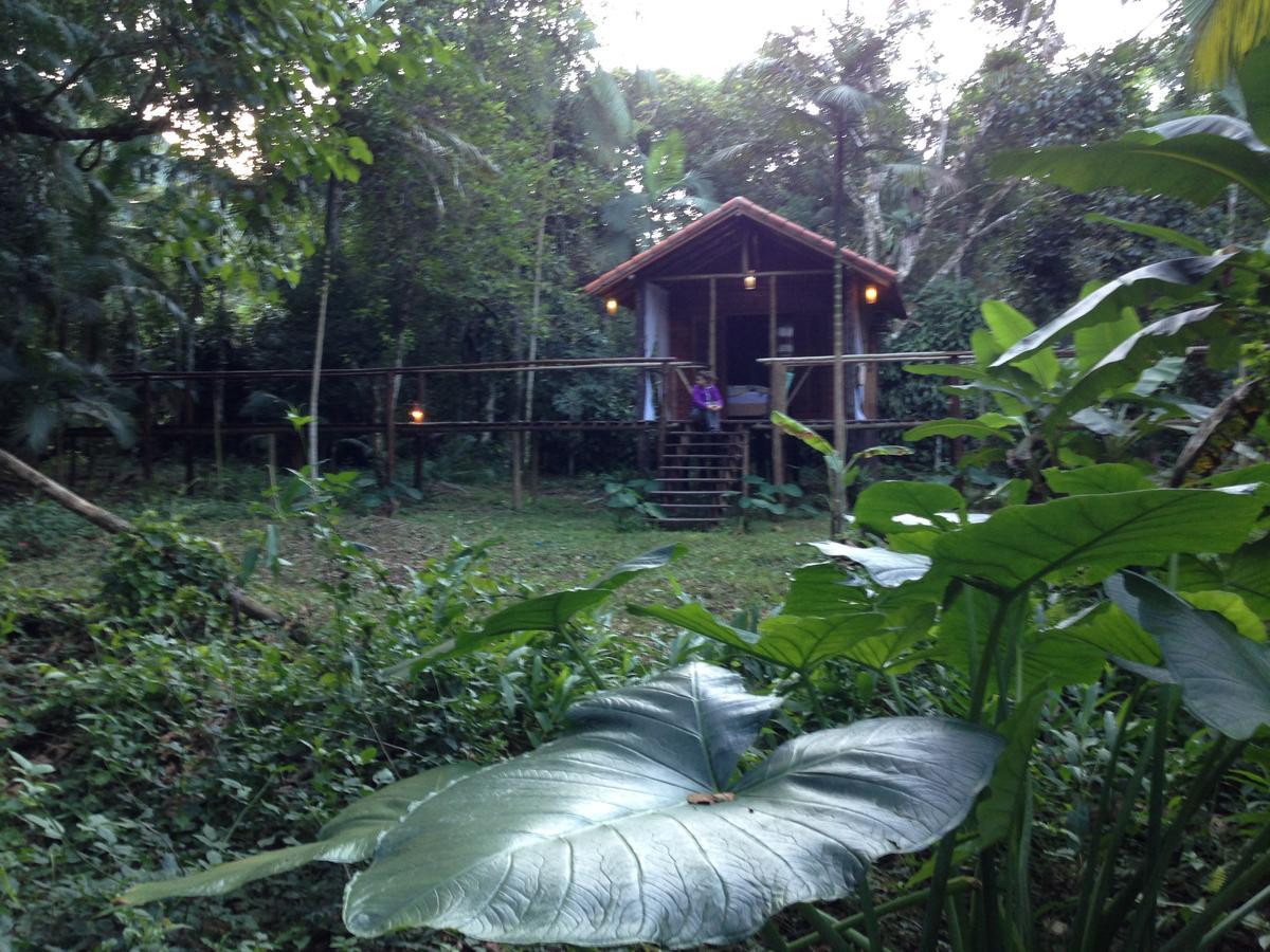 ホテル Glamping Mangarito イポランガ エクステリア 写真