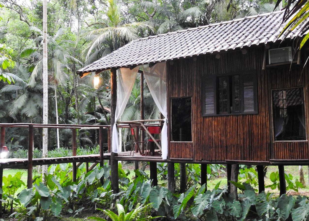 ホテル Glamping Mangarito イポランガ エクステリア 写真