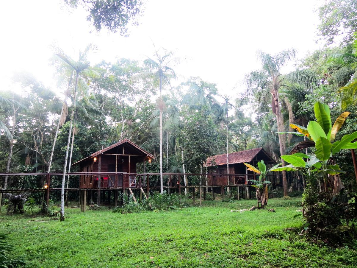ホテル Glamping Mangarito イポランガ エクステリア 写真